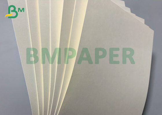 1S PE 260gsm Cup Stock Paper 240gsm + 20PE For Drinks Cup 886mm Jumbo Roll
