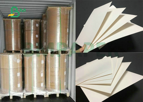 270Grs 290Grs Food Grade Ivory Board Paper For Food Container Making 95 x 130cm