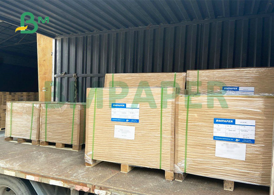 300gsm 350gsm C1S Carton Paperboard For Folding Packing Box