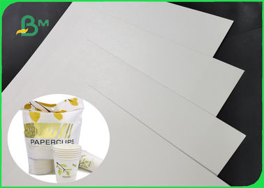 One Side Coated 300g PLA Coating Paper Completely Degraded For Office Cups