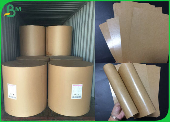 Food Grade Poly Coated Kraft Paper Roll 300gsm 350gsm To Food Tray Making