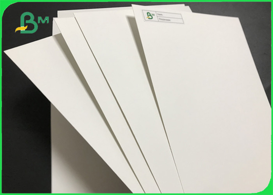 325gsm Single Side Gloss Coated White Cardboard For Food Container Board