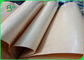 Food Safety PE Coated Kraft Paper 30 - 350gsm White / Brown Color For Food Wrapping