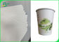 PE Coated Cupstock Based Paper Rolls 170GSM - 210GSM Degradable Material