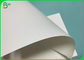0.44mm Thickness 300gsm Uncoated Cup Paper For Making Paper Cup