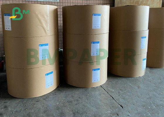 260Gr 280Gr 300Gr 100% Food Grade Cup Stock Paper Roll For  Coffee Cups 35inch Wide