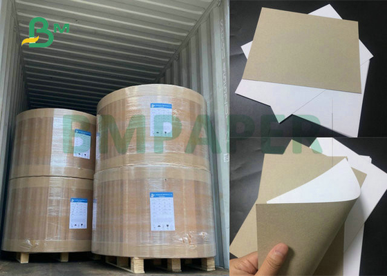 65 x 92cm 250gsm 300gsm 350gsm White Back Coated Duplex Board For Normal Package