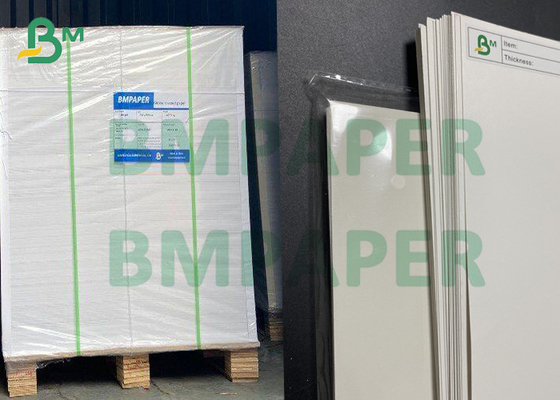 White Cardboard Sheets 250gsm C1S SBS Paper Roll High Stiffness
