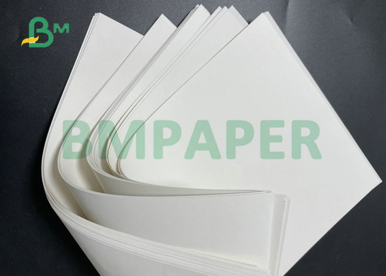 Reel Size Sheet Size 100GSM 120GSM Uncoated Ivory White Offset Paper