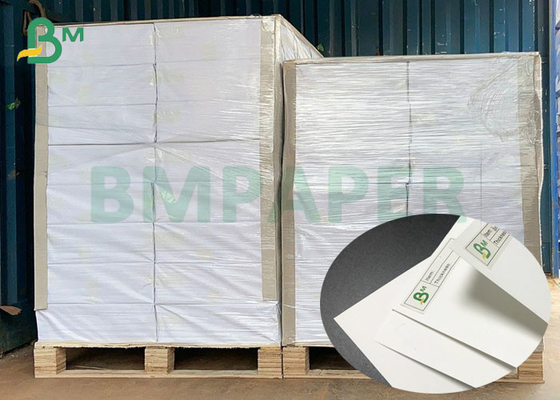 95um 130um Waterproof Coated Polypropylene Synthetic Paper Sheet 79 * 109cm