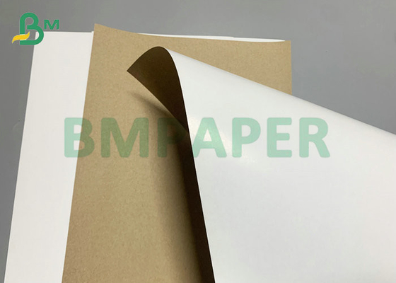 White Top Brown Back Cardboard 300gsm 350gsm For Frozen Food Box