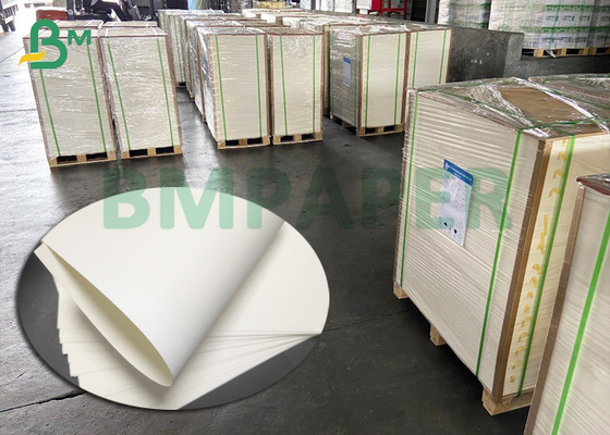 Glossy / Matte PE Coated Cup Stock Paper 150 - 330gsm High Stiffness