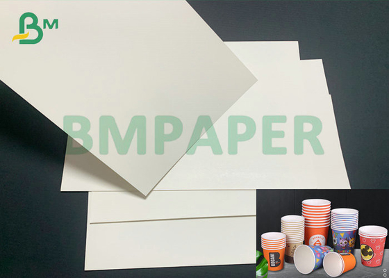 PE Coated Paperboard 185gsm + 15gsm PE For Making Dessert Or Soup Bowls