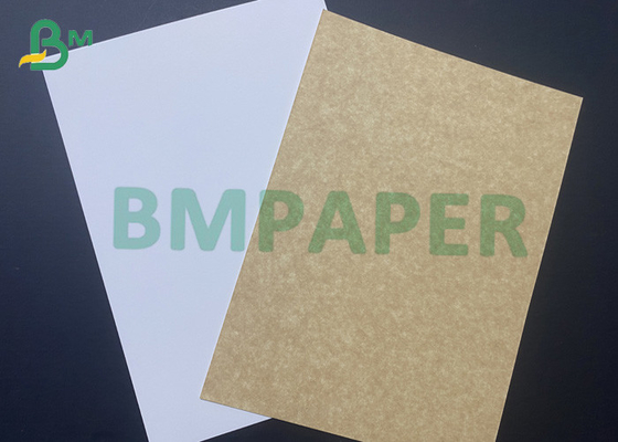 250gsm Coated Kraft Paper C1S One Side White One Side Kraft 889 X 650mm