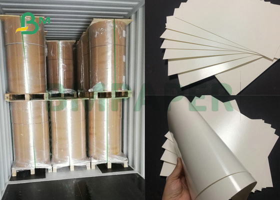 Good Absorption 230gsm + 18PE CupStock Paper Coated One Sided  For Papercups