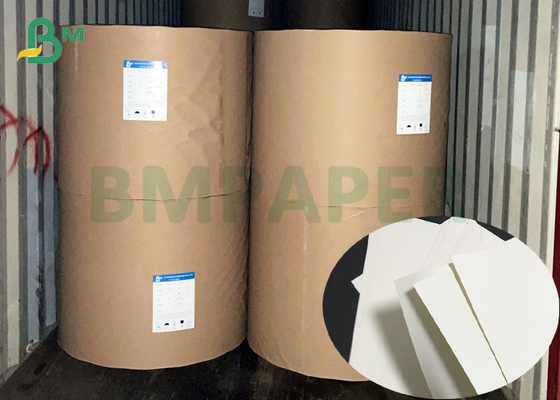 Single Side Laminated 210gsm 250gsm CUPP1S PE Coated Paper Rolls For Drink Cups