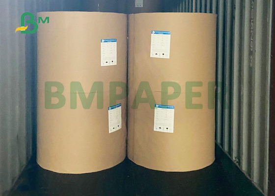 CUPP1S 230gsm + 15g PE Coated Paper For Cold Drinks Cup 880mm 900mm