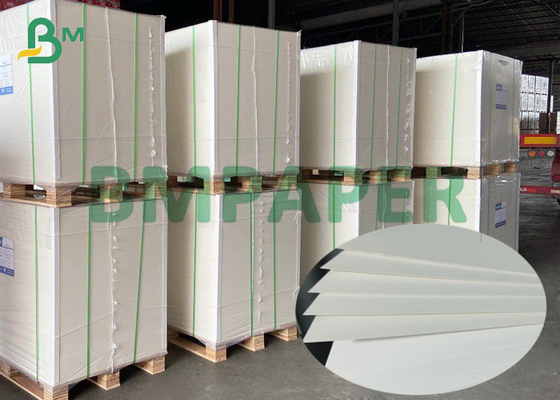 255g Ivory One Side Coated Paper SBS / FBB Solid Board For Printing In Roll