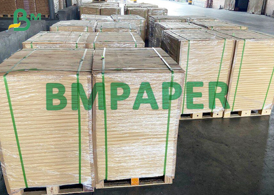 455 x 650mm Woodfree Printing Paper Roll For Advertising Material