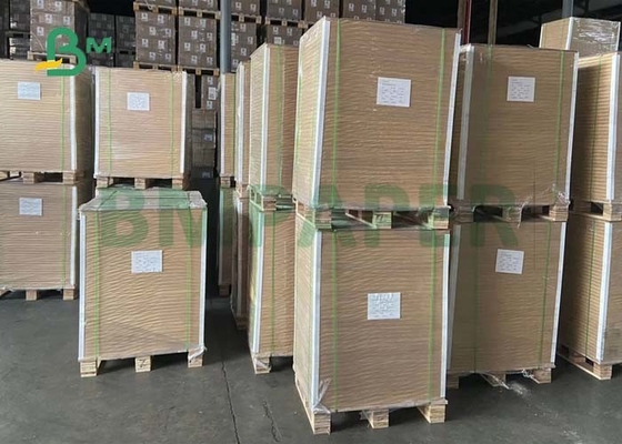 810mm 900mm Foodgrade Safety 240gsm + 15gPE CupStock Paper For Coffee Cups