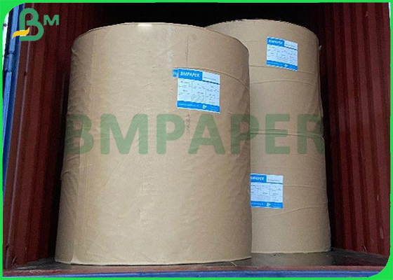 127gsm - 450gsm 100% Virgin Wood Pulp Moistureproof  Kraft Liner Paperboard