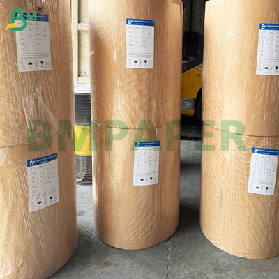 15gsm White Top Coated Kraft Paper Rolls for Packaging Frozen Food
