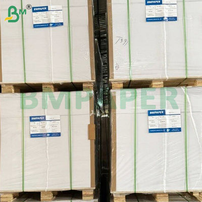 250 Gsm One Side Coated Blister White Cardboard for Packaging