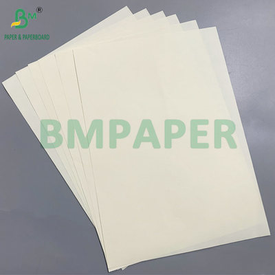 Wood Pulp Eco-Friendly 70g/80g/100g Ivory Woodfree Paper Eye-Friendly
