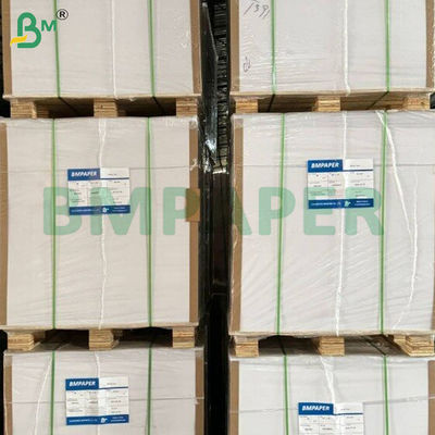200gsm+10gsm Heat Resistant PE Coated Cup Stock Paper Sheets