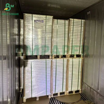 900 X 640MM 250Gr 300Gr One Sided Coating SBS Paper For Food Package