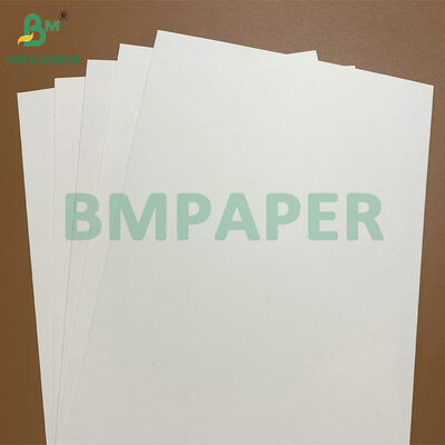 Waterproof & Grease Resistant Food Grade 250-350gsm PE Coated Paper for Disposable Food Trays & Takeout Containers