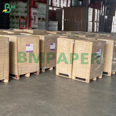 Non - Stick Parchment Paper For Air Fryer, Steamer, Oven, White & Natural