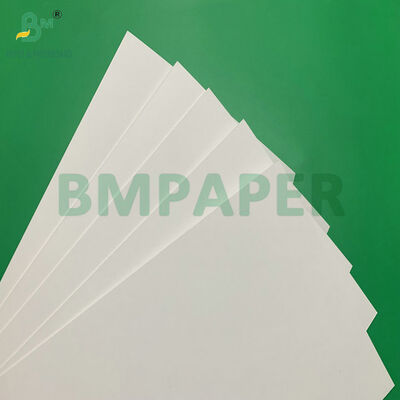 Heat Sealable White Cardboard Sheet for Blister Pack Strong Adhesion with PVC/PET Moisture-proof 250g 300g Rigid Paper for Retail Display