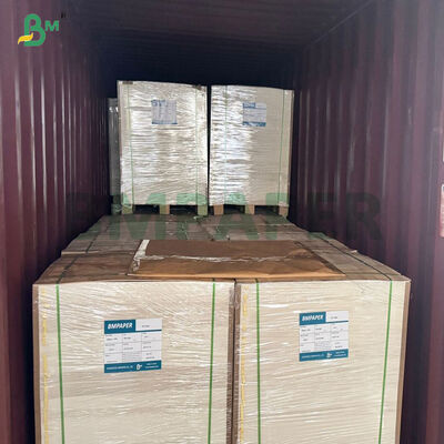 100% Vingin Wood Pulp 280gsm 300gsm White Coated Kraft Paper Board For Food Containers