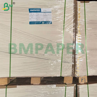 195gsm+15gsm PE Coated Cup Stock Paper Sheets for Making Cups