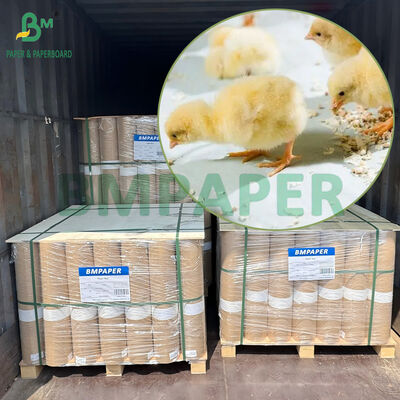 40gsm to 80gsm Waterproof Chick Paper for Poultry Houses Feeding and Drinking