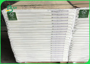 Disposable Food Grade FSC Certified Paper High Whiteness For Baking