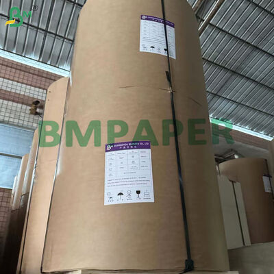 300gsm + 15g PE Coated Brown Kraft Paper For Street Food Tray Oil proof 85cm