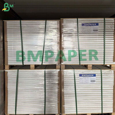 300gsm +15PE Greaseproof Street Food Paper For Making Food Tray 594 x 841mm