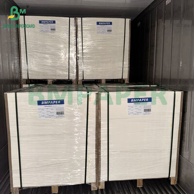 170-320gsm White Color Extruded With 15 PE Cupstock Paper in 70 x 100cm