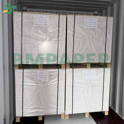 300gsm Two Side Coated Art Paper in Jumbo Rolls 38 Inch Width