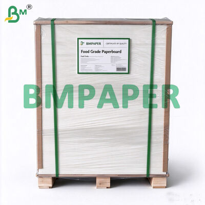 300g Unbleached Sugarcane Bagasse Pulp Sheet for Making Biodegradable Bowl Cup