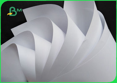 60gsm Woodfree Offset Printing Paper Good Ink Absorbency Free Sample