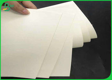 Fully Safe & Clean 70*100cm 160gsm +12g PE Cup Paper Roll For Coffee Cup