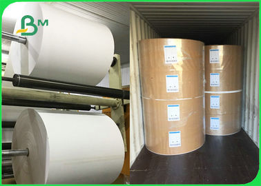 Disposable 300gsm + 10g PE Lunch Box Paper For Food Packing 100% Biodegradable