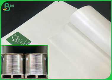 40G TO 350G C1S White Craft Paper / Ivory Board With PE coated Cup Paper Reels