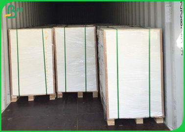 FSC Certified 80gsm - 120 Gsm UWF Uncoated Woodfree Paper In Reels For Bags