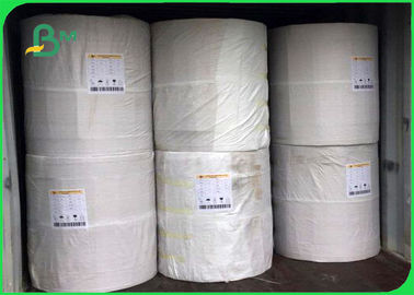 Degradable Safety 35 - 300gsm PE - Coated Kraft Paper Roll For Food Box