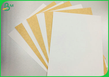 Free Samples Supported 250g 325g 365g Coated Kraft Paper Board For Food Box