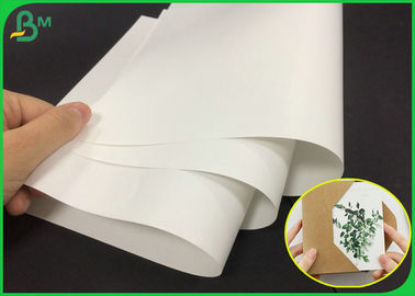 80g White Color Matte Gloss Art Paper Roll For Making Company Brochure